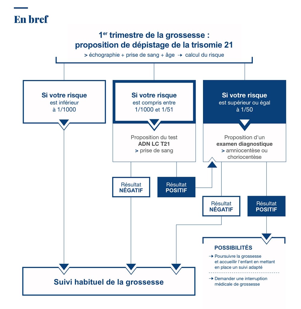 Arbre décisionnel dépistage trisomie 21 durant la grossesse