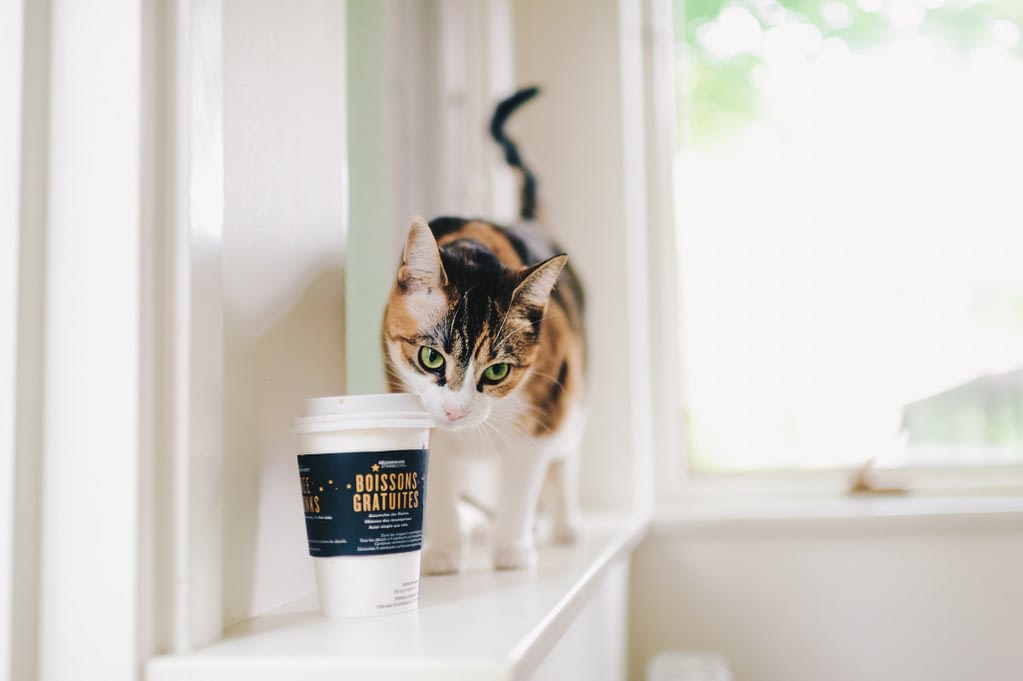 Une pause café?
